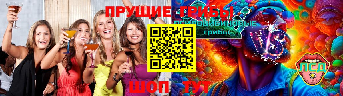 Псилоцибиновые грибы ЛСД  купить  сайты  Хасавюрт  Вход с VPN 